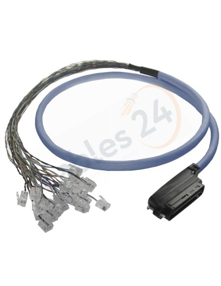 Cable Telco CAT.3 RJ-21 Macho 90 grados a 24 RJ45 macho