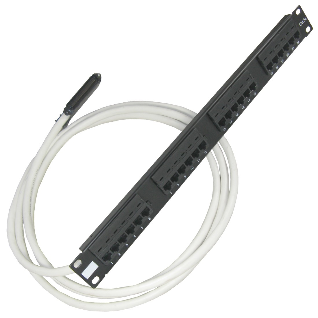 Telco RJ21 Cable to RJ45 PatchPanel 19 