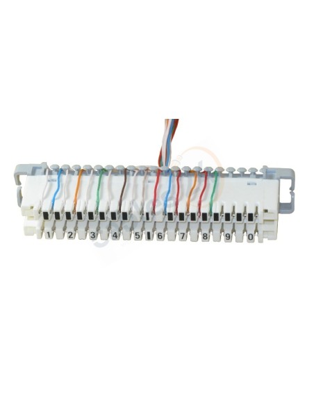 Cable Telco RJ21 a Regleta Krone