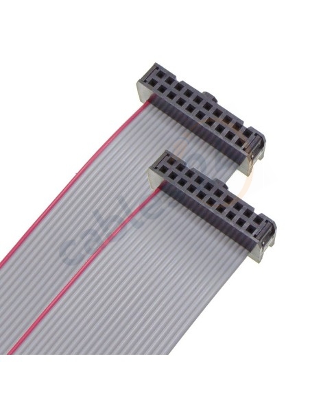 Cable IDC cinta plana 20 pines (2x10) 2.54 mm, 20 Ctms