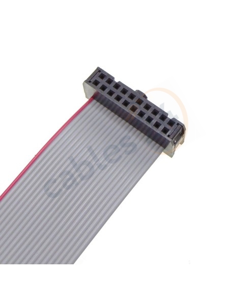 Cable IDC cinta plana 20 pines (2x10) 2.54 mm, 20 Ctms