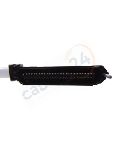 CAT.3 Telco Cable RJ-21  Male 90º to Male 90º