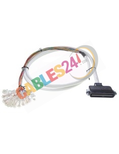 Cable Telco CAT.3 RJ-21 Macho recto a 24 RJ11 macho