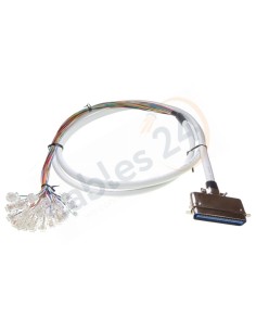 Cable Telco CAT.3 RJ-21 Macho recto a 24 RJ11 macho
