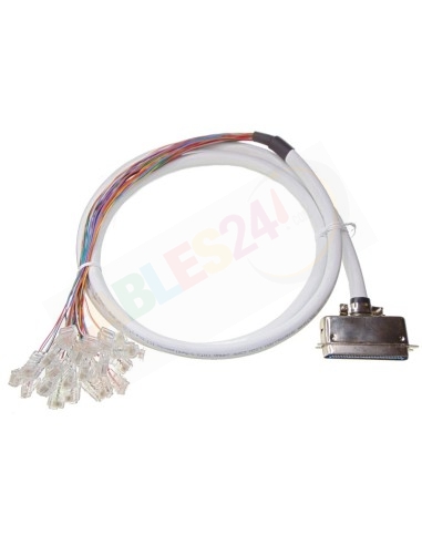 Cable Telco RJ21 a 24 conectores RJ45 para Xorcom GW0048S-21, GW0072S-21, GW0096S-21