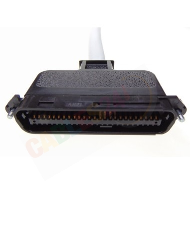 Telco RJ21 180º Cable to RJ45 PatchPanel 19" 1U 24 ports RJ-45 signs 4 y 5