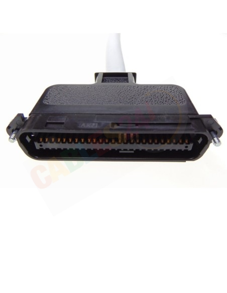 Cable Telco RJ21 180º a panel 19" 1U 24 puertos RJ-45. Señales 4 y 5