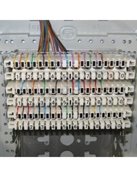 Cable Telco RJ21 a Regleta Krone para Grandstream GXW4216, GXW4232, GXW4224, GXW4248