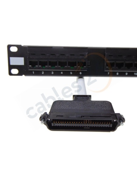 Cable Telco RJ21 a panel 24 RJ45 para ClearlyIP