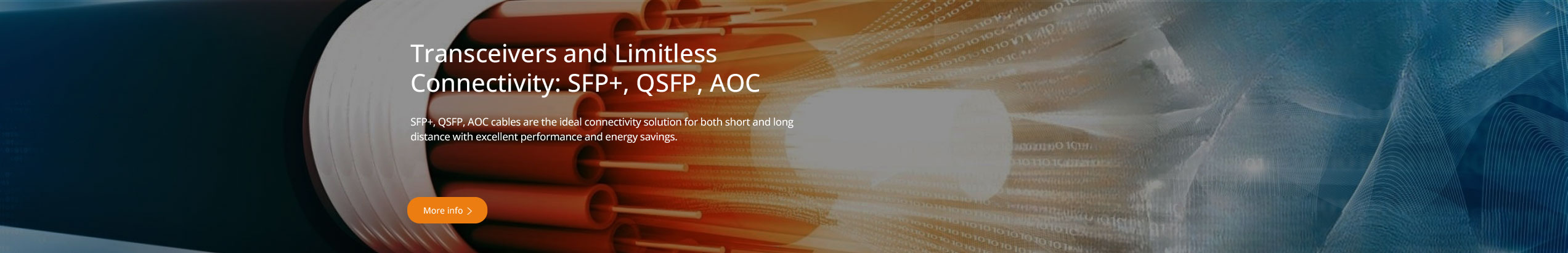 Manufacture of special and custom cables Cables24